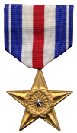 Navy Silver Star